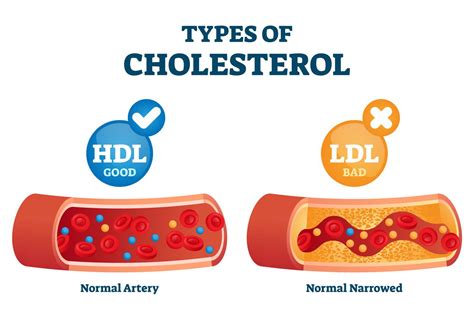 taking a blood test in the morning impact hdl cholesterol|high ldl cholesterol and heart disease.